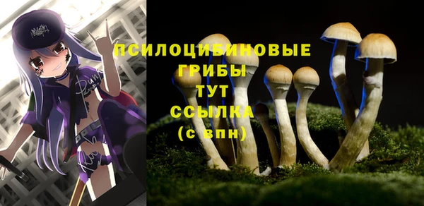 бутират Магас
