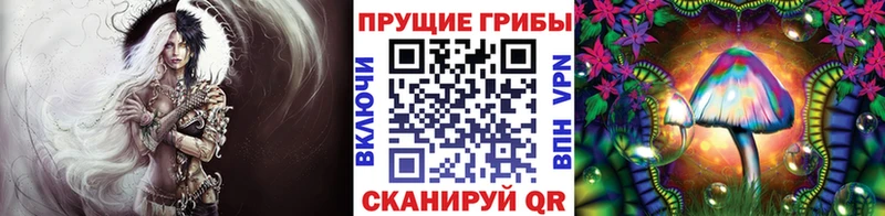 Псилоцибиновые грибы GOLDEN TEACHER OMG ТОР Чулым